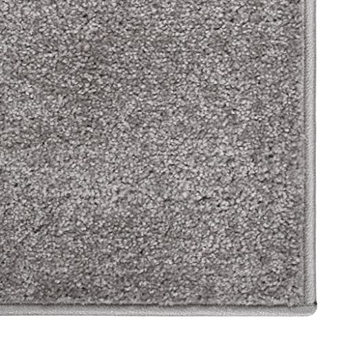 HEFZGDB Teppich Kurzflor 120x170 cm Grau Teppich Modern Wohnzimmerteppich Küchenläufer Küchenteppich für Speisesaal Wohnbereich Arbeitszimmer Schlafzimmer von HEFZGDB