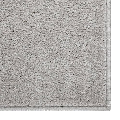 HEFZGDB Teppich Kurzflor 120x170 cm Hellgrau Teppich Modern Wohnzimmerteppich Küchenläufer Küchenteppich für Speisesaal Wohnbereich Arbeitszimmer Schlafzimmer von HEFZGDB