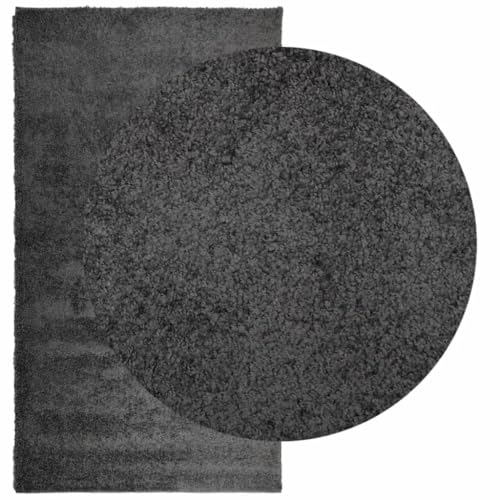 HEFZGDB Teppich Shaggy Hochflor Modern Anthrazit 60x110 cm Rugs for Living Room Wohnzimmerteppich Küchenläufer Teppich Flur für Speisesaal Arbeitszimmer Wohnbereich Schlafzimmer HEFZGDB Teppich Shaggy Hochflor Modern Anthrazit 60x110 cm Rugs for Living Room Wohnzimmerteppich Küchenläufer Teppich Flur für Speisesaal Arbeitszimmer Wohnbereich Schlafzimmer von HEFZGDB