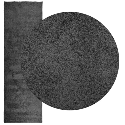 HEFZGDB Teppich Shaggy Hochflor Modern Anthrazit 80x250 cm Rugs for Living Room Wohnzimmerteppich Küchenläufer Teppich Flur für Speisesaal Arbeitszimmer Wohnbereich Schlafzimmer HEFZGDB Teppich Shaggy Hochflor Modern Anthrazit 80x250 cm Rugs for Living Room Wohnzimmerteppich Küchenläufer Teppich Flur für Speisesaal Arbeitszimmer Wohnbereich Schlafzimmer von HEFZGDB