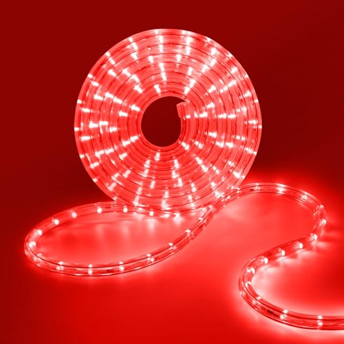 HEGEHE LED Lichterschlauch Außen, 36leds/m Wasserfest LED Schlauch Lichterkette Licht Leiste für Garten,Party,Weihnachten,Zaun,Dach,Dekoration Beleuchtung (Rot, 10M) von HEGEHE
