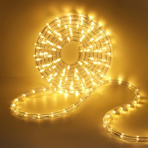 HEGEHE LED Lichterschlauch Außen, 36leds/m Wasserfest LED Schlauch Lichterkette Licht Leiste für Garten,Party,Weihnachten,Zaun,Dach,Dekoration Beleuchtung (Warmweiß, 100M) von HEGEHE