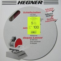 Schleifscheiben Scheibenschleifmaschine hsm 200S D200mm Korn 100 30120003 - Hegner von HEGNER