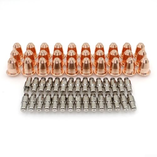 Ersatz 60 Stück Plasmaschneid-Elektroden PD01168 PR0110 für Trafimet S45 Taschenlampe, kompatibel mit Modellen für 95136 97994 91814 Verbrauchsmaterialien-Set Ersatz 60 Stück Plasmaschneid-Elektroden PD01168 PR0110 für Trafimet S45 Taschenlampe, kompatibel mit Modellen für 95136 97994 91814 Verbrauchsmaterialien-Set von HEIBTENY