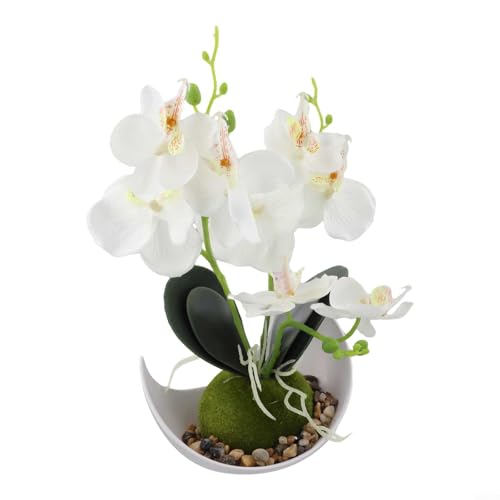 HEIBTENY Künstliche Schmetterlings-Orchidee, Topfpflanze, 27 cm, realistische Phalaenopsis-Blumenarrangement, Innendekoration, keine Wartung erforderlich (weiß) von HEIBTENY