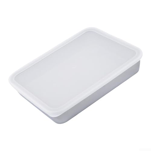 Professionelles Edelstahl-Tablett für Lebensmittelservice, Backen und Aufbewahrung (31 x 24 x 5,1 cm) von HEIBTENY