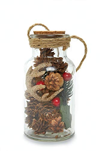 HEITMANN DECO Deko-Bastelsortiment, Glas/Zapfen, Natur, 6,7x13,3cm von HEITMANN DECO