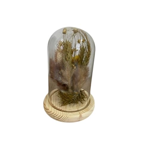 HEITMANN DECO Trockenblumen in Glasglocke, Natur, 11,5x11,5x17 cm HEITMANN DECO Trockenblumen in Glasglocke, Natur, 11,5x11,5x17 cm von HEITMANN DECO