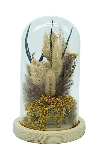 HEITMANN DECO Trockenblumen in Glasglocke, Natur/gelb, ca. 12,5x12,5x20 cm von HEITMANN DECO