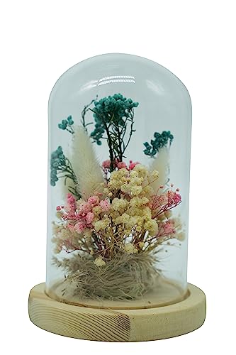 HEITMANN DECO Trockenblumen in Glasglocke, Natur/rosa/grün, 11,5x11,5x17 von HEITMANN DECO