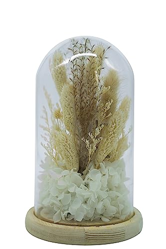 HEITMANN DECO Trockenblumen in Glasglocke, Natur/weiß, ca. 12x12x20 cm von HEITMANN DECO