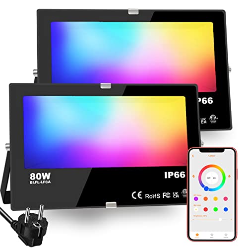 HEKEE RGB Led Strahler Außen, Farbwechsel 80W, DIY-Blitzmodus, RGB Led Fluter, Timer, Bluetooth IP66 wasserdicht von HEKEE