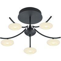 HELL Mala LED Deckenleuchte schwarz von HELL