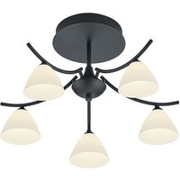 HELL Mona LED Deckenleuchte schwarz von HELL