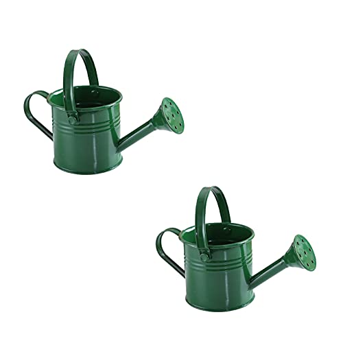 HELTER 2 Stück Eisen-Gießkessel aus Eisen, Mini-Metall-Gießkanne, Gartenarbeit, Wassertopf für Blumenpflanzen HELTER 2 Stück Eisen-Gießkessel aus Eisen, Mini-Metall-Gießkanne, Gartenarbeit, Wassertopf für Blumenpflanzen von HELTER