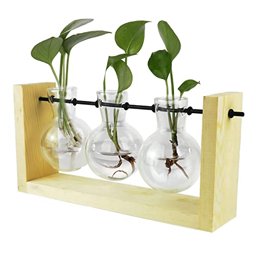 HELTER Pflanzenterrarium mit Holzständer, 3 Birnen Vase Pflanzenterrarium mit Holzständer, Glasvase Metall Drehhalter Retro Tischplatte von HELTER