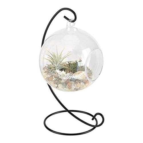 HELTER Tischdekoration zum Aufhängen, rund, klares Glas, Fischglas mit 22,9 cm Metallständer, Mini-Aquarium, Tischdekoration, kleine Glasvase für Fische, Blumen, Heimbüro-Dekoration von HELTER