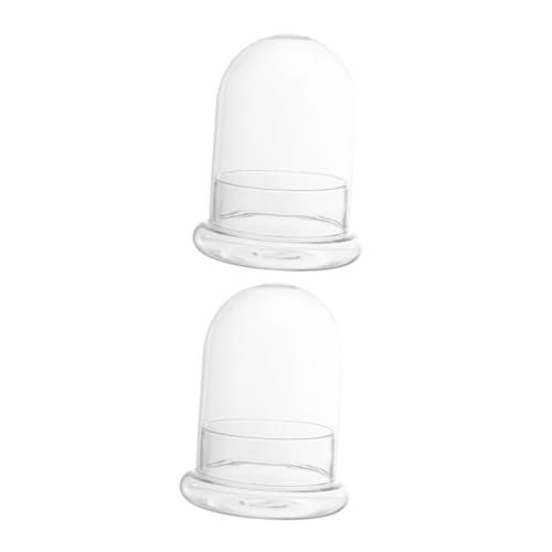 HEMOTON 2 Stück DIY Terrarium Flasche für Pflanzen Hochwertiges Borosilikat Geeignet für Innenraumdekoration für Moos und Sukkulenten Vielseitig Einsetzbar zur Aufbewahrung und von HEMOTON
