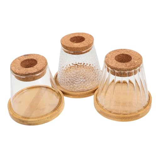 HEMOTON 3 Sätze Terrarien mit Praktischem Tray Hydroponische Pflanzenflasche für Kleine Pflanzen für Büro Zuhause Transparentes Design mit Korkverschluss HEMOTON 3 Sätze Terrarien mit Praktischem Tray Hydroponische Pflanzenflasche für Kleine Pflanzen für Büro Zuhause Transparentes Design mit Korkverschluss von HEMOTON