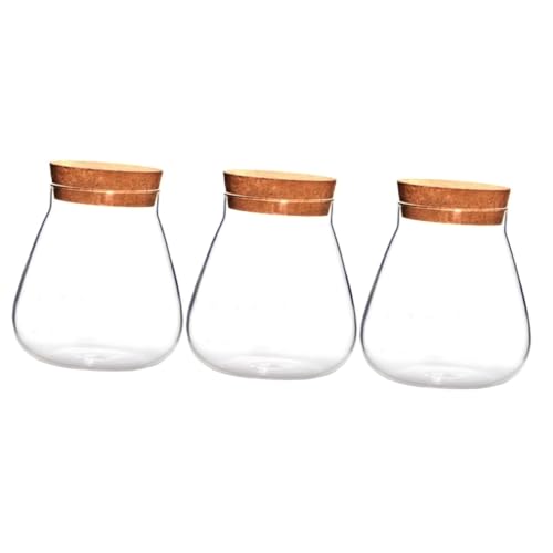 HEMOTON 3 Stck Transparente Glasvase mit Korkverschluss DIY Sukkulenten Pflanzgefäß Dekoratives Terrarium Flaschengarten für Tisch Fenster und Gartendekoration für Bastelfans von HEMOTON
