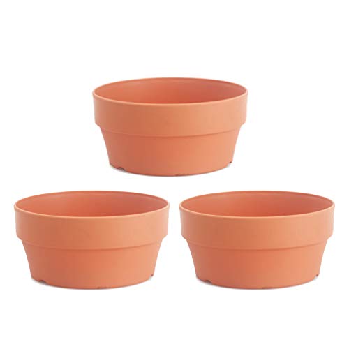 HEMOTON 3 Stücke Kunststoff Blumentopf Rundtopf Terracotta Pflanztopf Kaktus Tontöpfe Sukkulenten Blumentöpfe Plastik Terracotta Töpfe Pflanzkübel Pflanzgefäß Blumenkübel für Innen Außen von HEMOTON