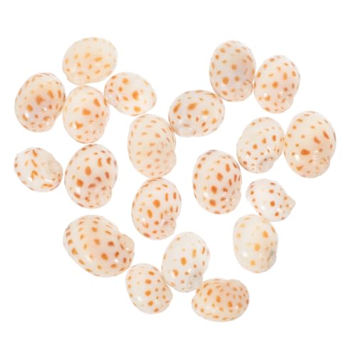 HEMOTON 40 Stück Teiliges Natürliche Kleine Muscheln Glatte Oberfläche Sichere Aquarium Conch Dekoration für Gartenteich Terrarien Meeres Themen DIY Basteln und Fischbecken von HEMOTON