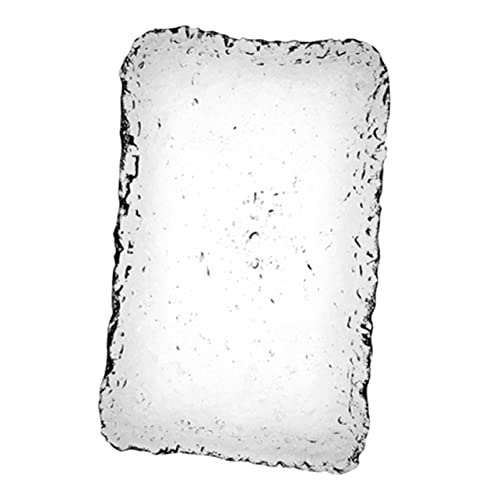 HEMOTON Elegantes Tablett Zum Servieren Von Sashimi Glasteller Teigtaschen Multifunktionaler Lebensmittelhalter Kompakt Einfach Zu Verstauen von HEMOTON