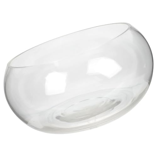 HEMOTON Glasfischschale für Hydroponische Pflanzen Transparente Terrarium Dekoration für Desktop Aquarium für Fische Garnelen Schildkröten und Pflanzen im Home Office HEMOTON Glasfischschale für Hydroponische Pflanzen Transparente Terrarium Dekoration für Desktop Aquarium für Fische Garnelen Schildkröten und Pflanzen im Home Office von HEMOTON
