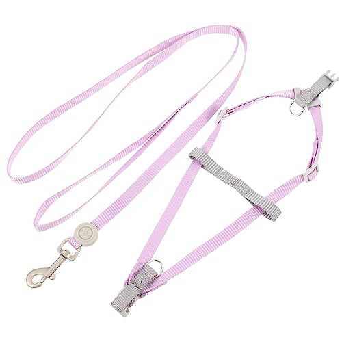 HEMOTON Hundegeschirr Und Leine Leicht Und Flexibel Verstellbar Für Spaziergänge Ausbruchsicheres Geschirr Für Kleine Hunde Für Welpen Und Spaziergänge Im Freien von HEMOTON