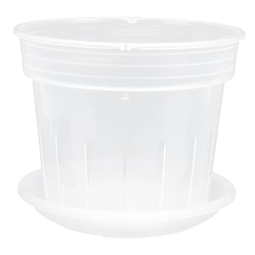 HEMOTON Orchideentopf Transparent Pflanztopf für Orchideen mit Löchern Gärtnertopf für Sukkulenten Stecklinge und Umpflanzen 1 Satz Atmungsaktiver Pflanzbecher für Gesundes Wurzelwachstum von HEMOTON