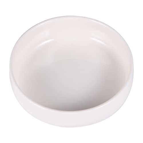 HEMOTON Reptilien Futternapf aus Keramik Durchmesser für Schildkröten Eidechsen und Frösche Leicht zu Reinigen und Langlebig für Sicheres Füttern und Trinken von HEMOTON