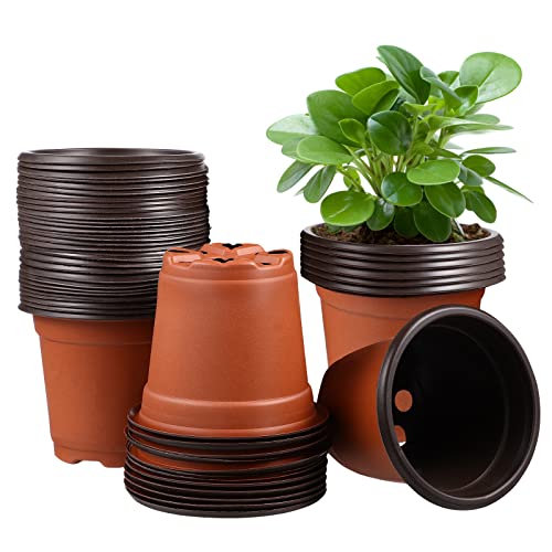 Anzuchttöpfe 12cm, Pflanztöpfe Anzucht 50 Stück, Aufzuchttöpfe Plastik Kleine, Setzlinge Anzucht Töpfe Pflanzen, Blumentopf Kunststoff, Pikiertöpfe, Plastiktöpfe, Sukkulenten Sämlinge Pflanztopf Anzuchttöpfe 12cm, Pflanztöpfe Anzucht 50 Stück, Aufzuchttöpfe Plastik Kleine, Setzlinge Anzucht Töpfe Pflanzen, Blumentopf Kunststoff, Pikiertöpfe, Plastiktöpfe, Sukkulenten Sämlinge Pflanztopf von HEMOTON