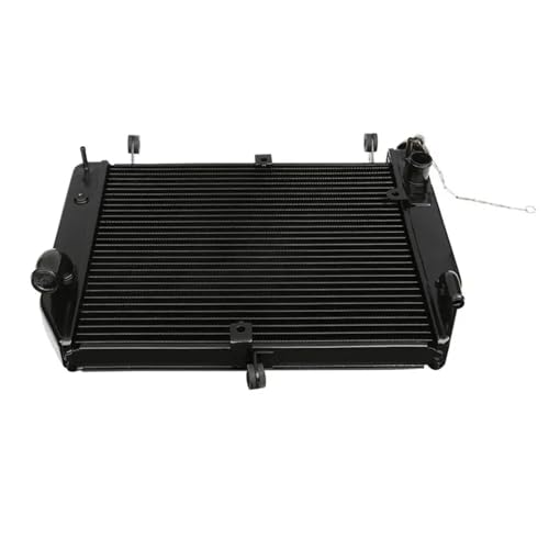 Black Radiator Cooler Compatible With Yamaha YZF R1 YZF-R1 YZFR1 2002-2003 Motorcycle von HENGCHUG