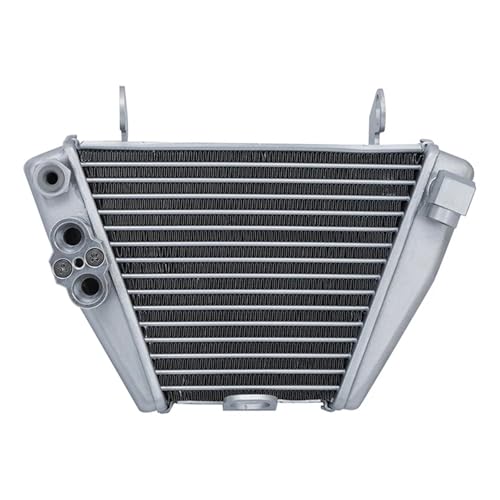 Motorcycle Aluminium Engine Radiator Cooling Oil Cooler Compatible With Ducati XDiavel 1260 S 2019-2022 Dark 2021-2022 von HENGCHUG