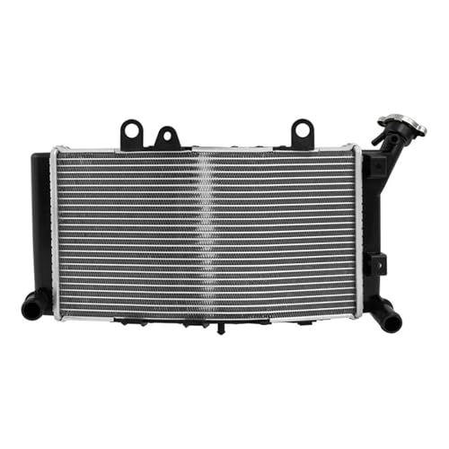Motorcycle Radiator Cooler Cooling Compatible With BMW F750GS F850GS 2019-2023 F850GS Adventure 2019-2022 2021 2020 von HENGCHUG
