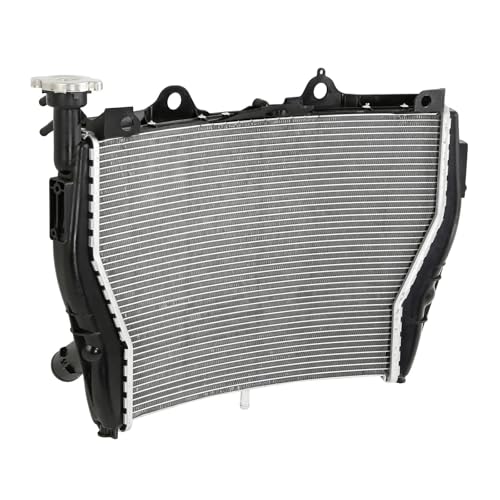 Motorcycle Radiator Cooler Cooling Compatible With BMW S1000R 2017-2020 S1000XR 2015-2019 2016 2018 von HENGCHUG