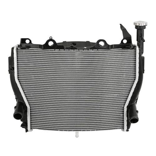 Motorcycle Radiator Cooler Cooling Compatible With BMW S1000RR 2009-2018 2017 2016 15 HP4 RACE 2018 von HENGCHUG