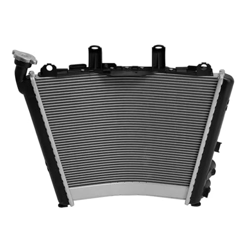 Motorcycle Radiator & Oil Cooler Cooling Compatible With BMW M1000RR 2021-2022 S1000R 2021-2023 S1000RR 2019-2023 von HENGCHUG