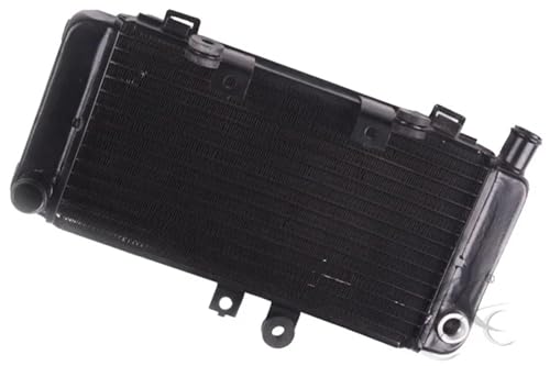 Radiator Cooler Cooling Compatible With H CB250 HORNET 250 1997-2008 2007 2006 2005 Motorcycle von HENGCHUG