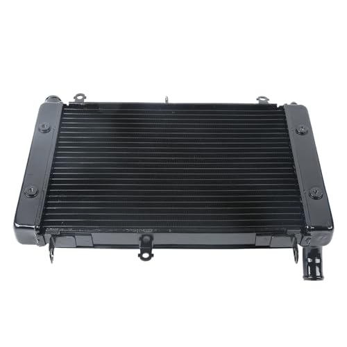 Radiator Cooler Cooling Compatible With YAMAHA FZS1000 FAZER FZ1 2001 2002 2003 2004 2005 Motorcycle von HENGCHUG