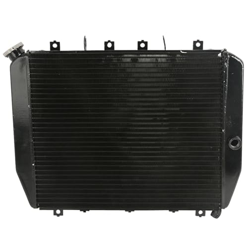 Replacement Radiator Cooler Compatible With Kawasaki NINJA ZX12R 2002 2003 2004 2005 Motorcycle von HENGCHUG