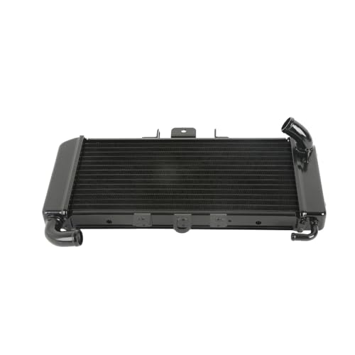 Replacement Radiator Cooler Compatible With YAMAHA FZS600 FZ600 FAZER 1998 1999 2000 2001 2002 2003 Motorcycle von HENGCHUG