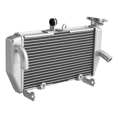 Silver Radiator Cooler Cooling Compatible With Yamaha YZF R3 2015 2016 2017 2018 2019 2020 2021 2022 2023 2024 von HENGCHUG