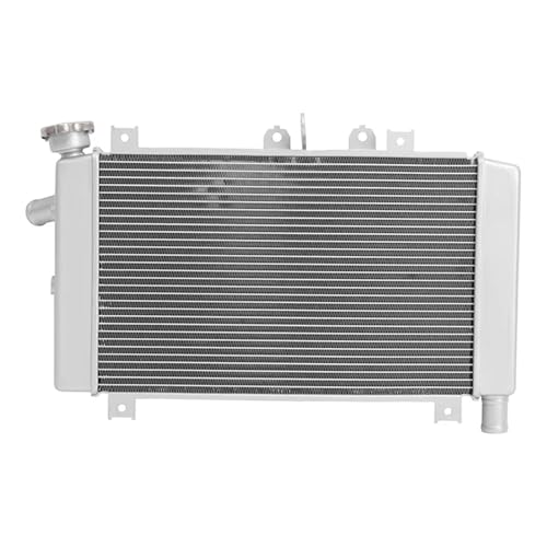 Silver Radiator Engine Cooler Cooling Compatible With Kawasaki Ninja ZX-4RR ZX400SPFNN 2023-2024 Motorcycle von HENGCHUG