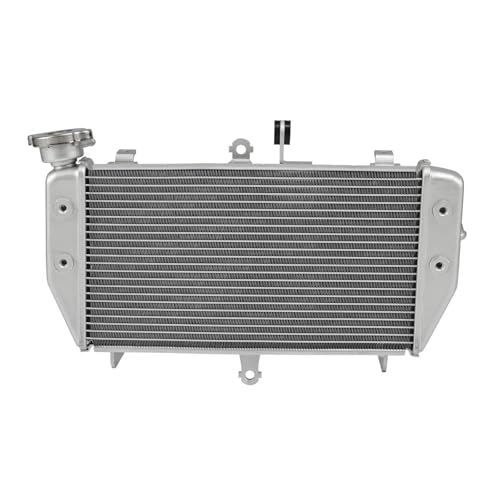 Silver Radiator Engine Cooler Cooling Compatible With YAMAHA MT-03 MT-25 2016-2023 2017 2018 2019 2020 2021 2022 Motorcycle von HENGCHUG