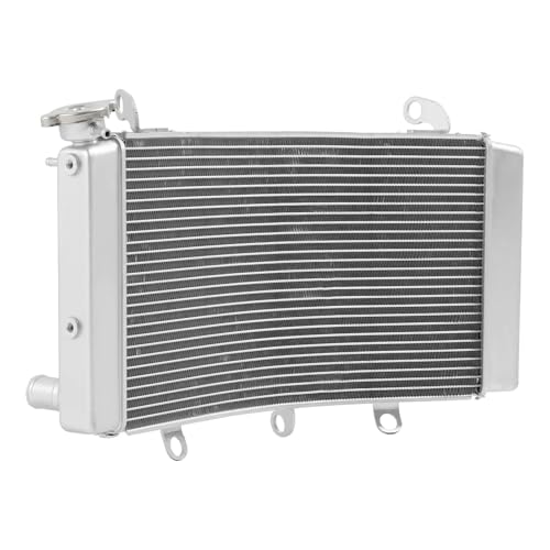 Water & Oil Cooler Radiators Compatible With Suzuki Hayabusa GSX1300R 2022 2023 2024 Motorcycle von HENGCHUG