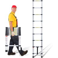 Hengda - 2,6m Silber Teleskopleiter Aluleiter Stehleiter Anlegeleiter Mehrzweckleiter Klappleiter von HENGDA