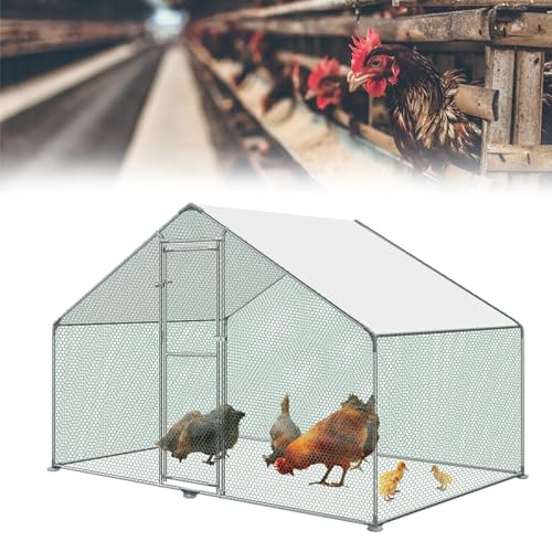 HENGMEI Hühnerstall 3x2x2m Freilaufgehege Käfige Kleintierstall Verzinkter Stahl Hühnerkäfig mit PE Dach Außen Freigehege mit Schloss Geflügelstall HENGMEI Hühnerstall 3x2x2m Freilaufgehege Käfige Kleintierstall Verzinkter Stahl Hühnerkäfig mit PE Dach Außen Freigehege mit Schloss Geflügelstall von HENGMEI