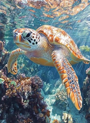 Diamond Painting Meeresschildkröten Diamond Painting Erwachsene, Crystal Art Tier Muster Design 5D DIY Vollbohrer Diamanten Malerei Stickerei Kreuzstich Basteln für Deko Wohnzimmer 60x80 cm -hjw250833 von HENJGWEG