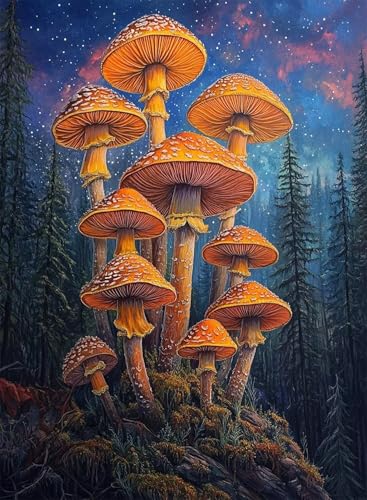 Diamond Painting Pilz Diamond Painting Erwachsene, Crystal Art Sternenhimmel Muster Design 5D DIY Vollbohrer Diamanten Malerei Stickerei Kreuzstich Basteln für Deko Wohnzimmer 40x30cm -hjw25083B Diamond Painting Pilz Diamond Painting Erwachsene, Crystal Art Sternenhimmel Muster Design 5D DIY Vollbohrer Diamanten Malerei Stickerei Kreuzstich Basteln für Deko Wohnzimmer 40x30cm -hjw25083B von HENJGWEG